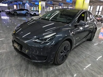 2024 Tesla Model Y Rear-Wheel Drive Version, фото 1, лот 11067804