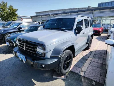 2021 Tank 300 Off-road Version 2.0T Conqueror, фото 1, лот 11227592