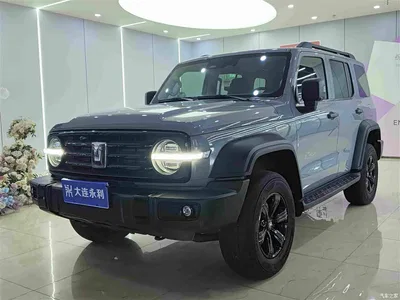 2021 Tank 300 Off-road Version 2.0T Conqueror, фото 1, лот 10450173