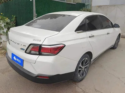 2019 Venucia D60 100K Glory 1.6L XL CVT Chen Ku Edition China VI, фото 3, лот 11146638