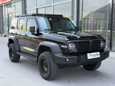 2023 Tank 300 Off-Road Edition 2.0T Conqueror, фото 3, лот 10450983