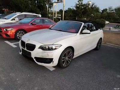2018 BMW 2 Series (Import) 220i Convertible Coupe Sport Design Package, фото 2, лот 11548598