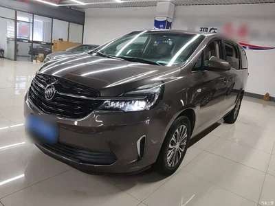 2021 Buick GL8 Land Business Class 652T Comfort, фото 1, лот 11545487