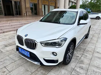 2018 BMW X1 sDrive18Li Premium Model, фото 1, лот 10955314