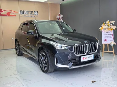 2023 BMW X1 sDrive25Li M Sport Package, фото 3, лот 10391361