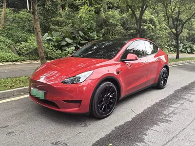 2022 Tesla Model Y Facelift Rear-Wheel Drive Version, фото 1, лот 10403522