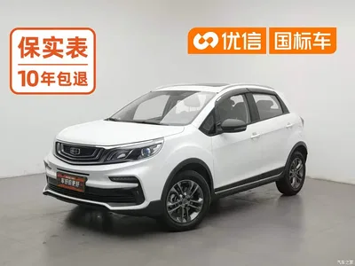 2020 Geely Vision X3 1.5L CVT Premium, фото 1, лот 10306665