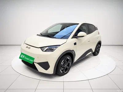 2025 BYD Seagull Smart Drive Edition 305km Freedom Version, фото 1, лот 10252774