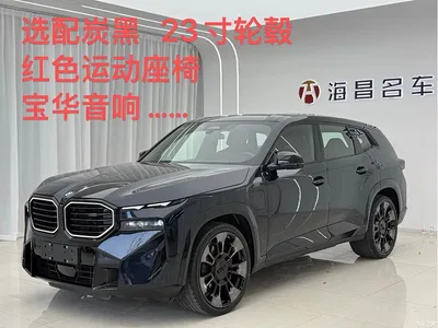2023 BMW XM Model Base, фото 1, лот 10410697