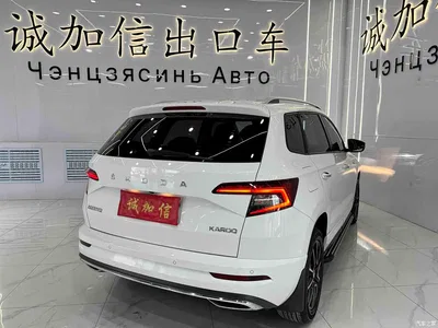 2022 Škoda Karoq TSI280 Luxury Edition, фото 4, лот 10349382