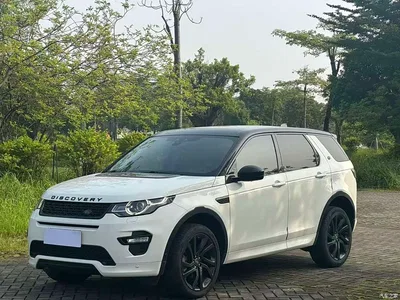2019 Land Rover Discovery Sport 240PS SE Edition China V, фото 1, лот 11011389