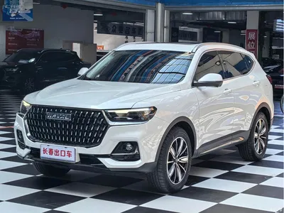 2023 Haval H6 National Trend Edition 1.5T Automatic Champion, фото 1, лот 10632504