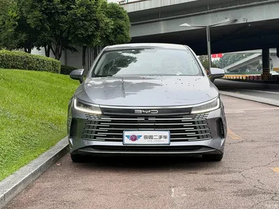 2023 BYD Destroyer 05 Champion Edition DM-i 55KM Luxury, фото 2, лот 11537100