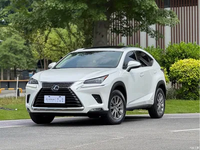 2020 Lexus NX 300h FWD F Sport China VI, фото 1, лот 11139551