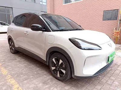 2024 Wuling Motors Wuling Binguo PLUS 510km Range 5-seater, фото 4, лот 10836628