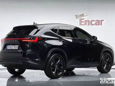 2025 Lexus NX 350h Premium, фото 1, лот 10212329