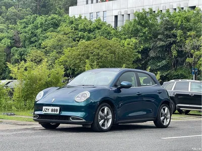 2021 Ora Good Cat 400km Standard Range Venus Edition (LFP), фото 1, лот 10331141