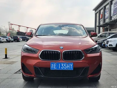 2020 BMW X2 sDrive25i Exclusive M Sport Package, фото 2, лот 10475540