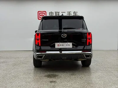 2022 GAC Trumpchi Trumpchi GS8 Dual Engine Series 2.0TM 2WD Premium Edition (7-Seater), фото 3, лот 11218875