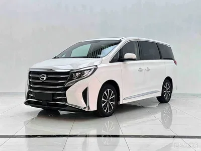 2021 GAC Trumpchi Trumpchi M8 Leading Show Series 390T Premium Edition, фото 1, лот 11301861