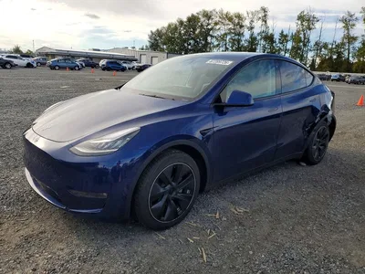 2023 TESLA MODEL Y, фото 1, лот 10855808