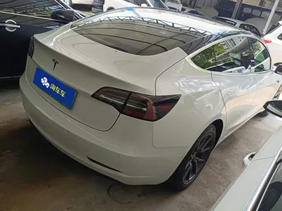 2020 Tesla Model 3 Standard Range Rear-Wheel Drive Upgrade, фото 3, лот 10663217