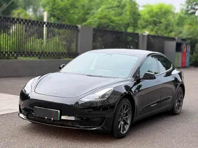 2021 Tesla Model 3 Standard Range Rear-Wheel Drive Upgrade, фото 1, лот 10366327