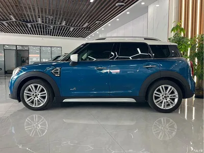 2019 MINI COUNTRYMAN 1.5T COOPER ALL4 Artist Weekend Travel, фото 3, лот 10888978