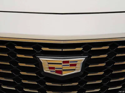 2020 Cadillac XT4 28T 2WD Technology, фото 3, лот 10292316