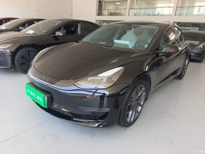 2022 Tesla Model 3 Performance High-Performance AWD, фото 1, лот 11501962