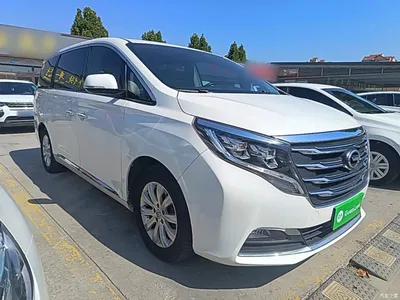 2018 GAC Trumpchi Trumpchi M8 320T Exclusive Edition, фото 4, лот 11395618