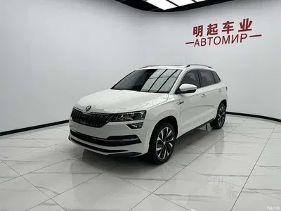 2022 Škoda Karoq TSI280 Luxury Edition, фото 4, лот 10349438