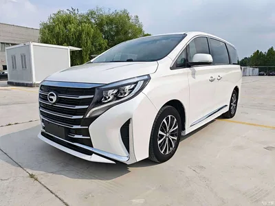 2021 GAC Trumpchi Trumpchi M8 Leading Show Series 390T Luxury Edition, фото 1, лот 10419660