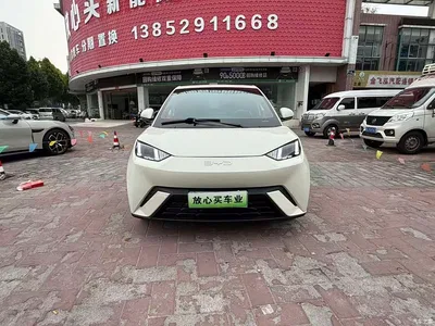 2023 BYD Seagull Freedom Edition, фото 2, лот 11439670
