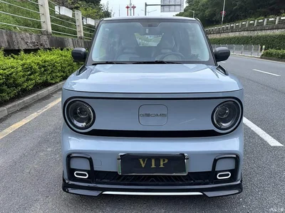 2025 Geely Galaxy Panda Model Year 210km Panda Kart, фото 2, лот 10432322