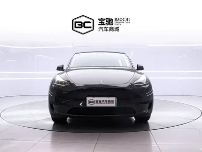 2025 Tesla Model Y Rear-Wheel Drive, фото 2, лот 11459740