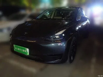 2024 Tesla Model Y Rear-Wheel Drive Version, фото 1, лот 10370783