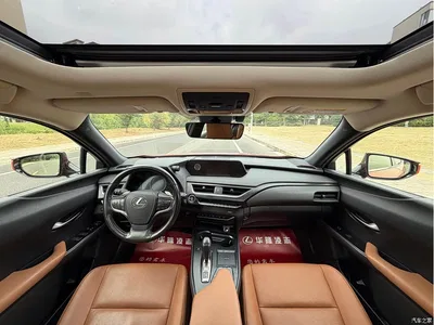 2020 Lexus UX Electric 300e Pure Enjoyment Edition, фото 4, лот 11011364
