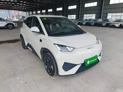 2025 BYD Seagull Smart Drive Edition 305km Freedom Version, фото 4, лот 10262832