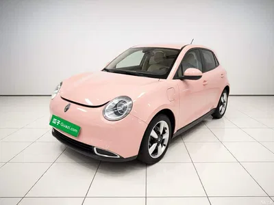 2021 Ora Good Cat 400km Standard Range Venus Edition (LFP), фото 1, лот 10304714