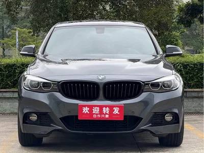 2019 BMW 3 Series GT 320i M Sport Black Night Edition, фото 2, лот 10475210