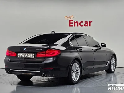 2019 BMW 5-Series 530i Luxury Plus, фото 1, лот 10064777