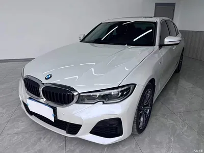 2022 BMW 3 Series 320Li M Sport Package, фото 1, лот 10481234