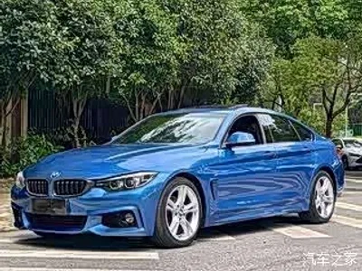 2017 BMW 4 Series 425i Gran Coupe Leading M Sport Package, фото 1, лот 11183232