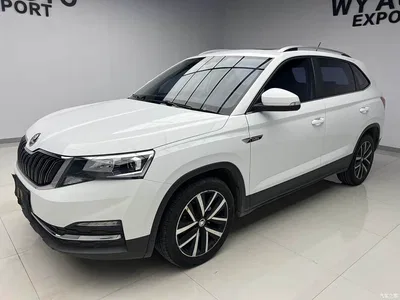 2023 Škoda Kamiq 1.5L Auto Comfort Edition, фото 1, лот 10348516