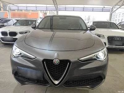 2017 Alfa Romeo Stelvio 2.0T 200HP Elite, фото 3, лот 10898556