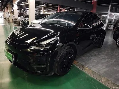 2021 Tesla Model Y Standard Range Rear-Wheel Drive, фото 2, лот 10369546
