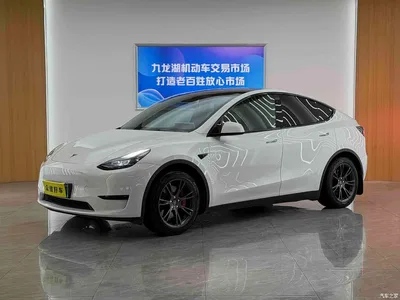 2023 Tesla Model Y Rear-Wheel Drive Edition, фото 1, лот 11249562