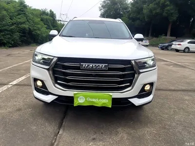 2021 Haval H6 National Trend Edition 1.5GDIT Automatic Champion Edition, фото 3, лот 11018345