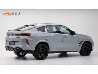 2023 BMW X6 M Model X6 M Thunder Edition, фото 3, лот 11527930